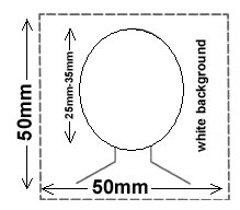 US Passfoto, Foto für die Greencard, Visumfoto für Indien, Visumfoto für die Vereinigten Staaten US Passfoto, Foto für die Greencard, Visumfoto für Indien, Visumfoto für die Vereinigten Staaten